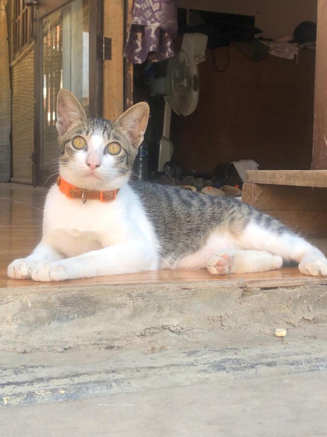 Champalao The Villa Vang Vieng Εξωτερικό φωτογραφία